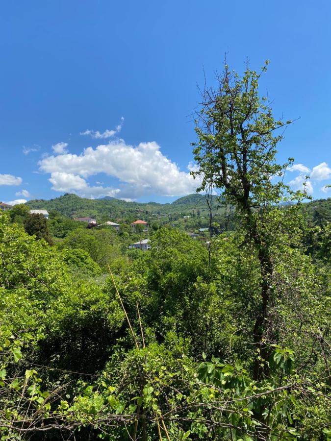 Ana House Villa Makhinjauri Dış mekan fotoğraf
