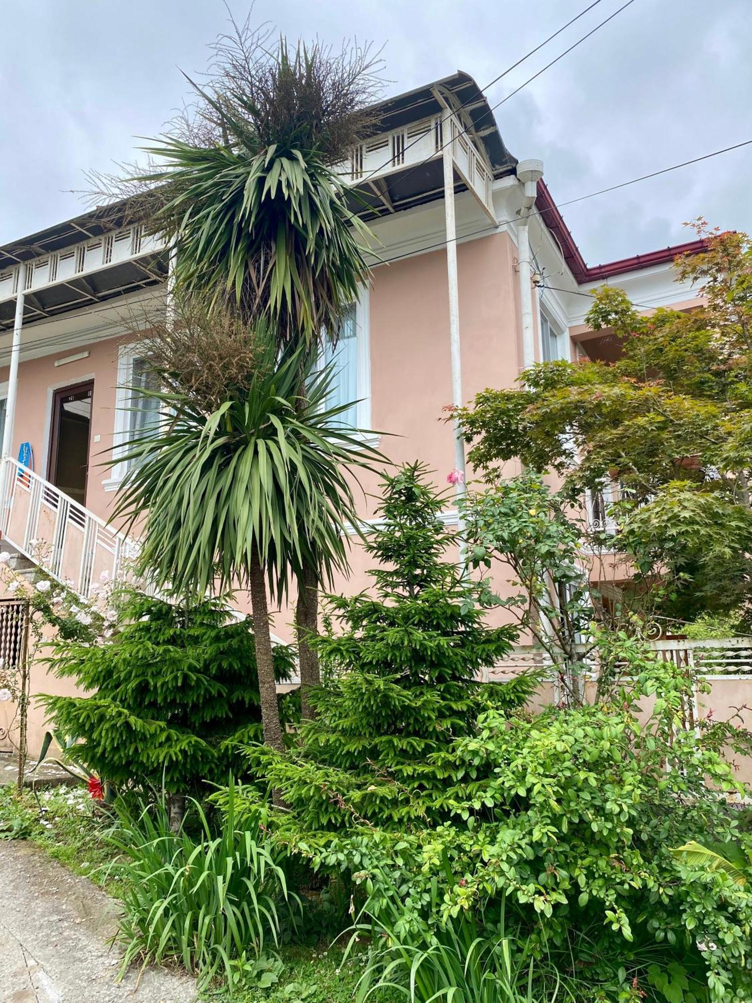 Ana House Villa Makhinjauri Dış mekan fotoğraf